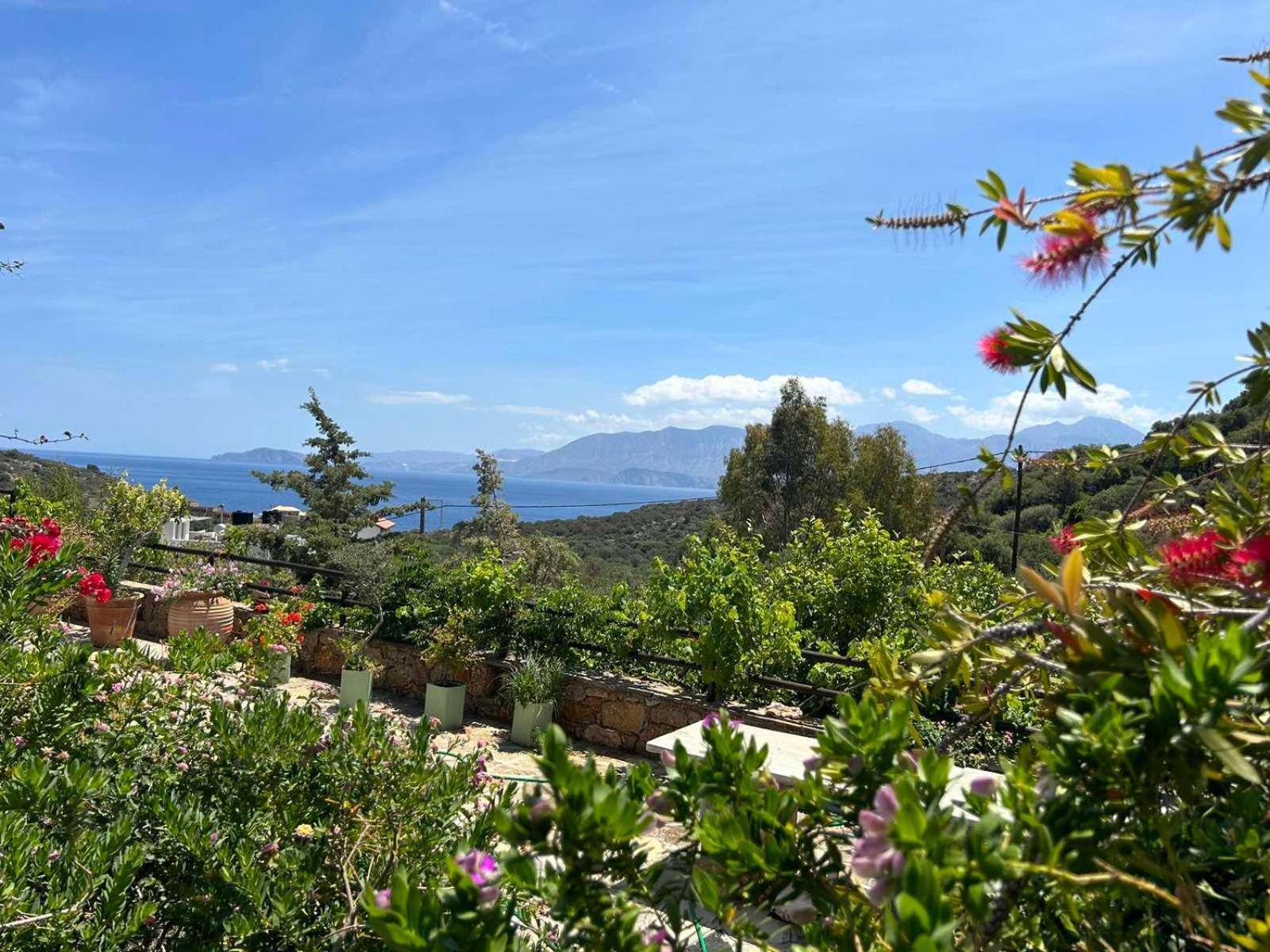 Fissi Villas Agritourism Accommodation Near The Sea 圣尼古拉奥斯 外观 照片